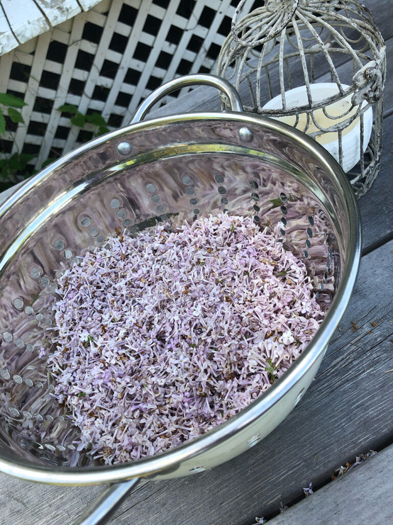 Bowl of lilac florets.
