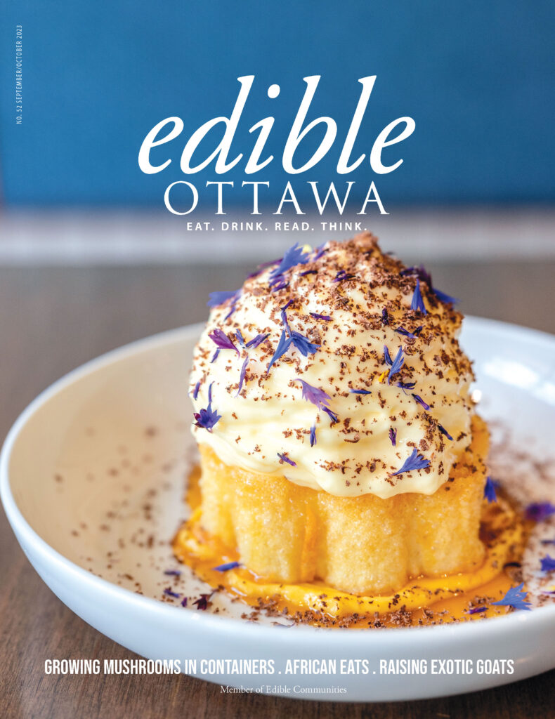 edible Ottawa magazine cover with a cake on it.